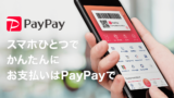 PayPayボーナスが貯まるお小遣いサイトQuickPointの安全性と登録 ...